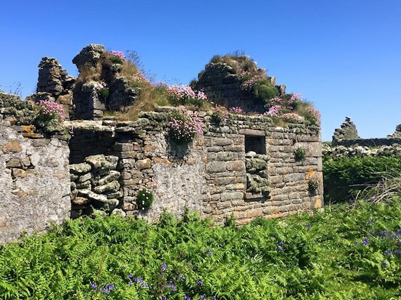 Abandoned cottage, Inishmurray Island, Sligo