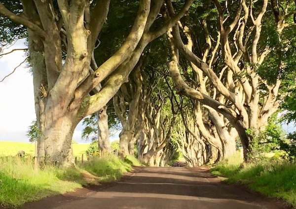 Glen of the Hedges or the Dark Hedges, film location Game of Thrones, Northern Ireland.