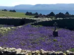 inishmurray