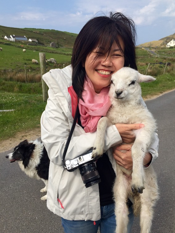 Lay Eng Yeo in love with a lamb on Muckross Head in Donegal