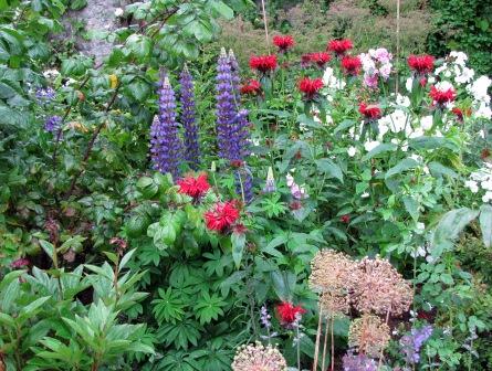 Bellefield Garden Border