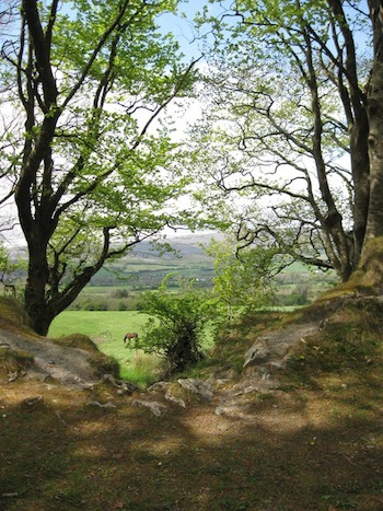 Ballyalban Fairy Fort, Ballyvaughan, County Clare