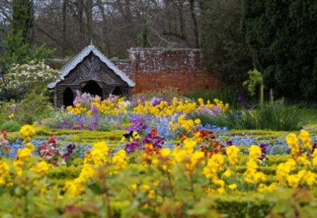 Beaulieu House walled garden, forget-me-nots and wallflowers