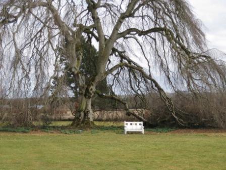 Bellinter House grounds, County Meath