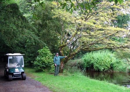 Buggy Tour, Birr Castle Estate, County Offaly