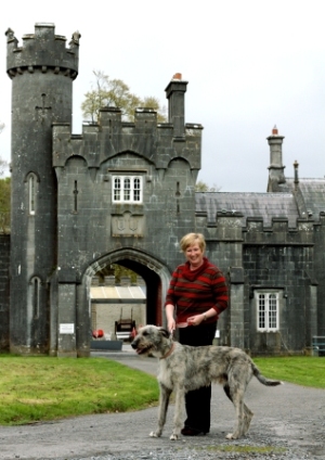 Irish Wolfhound