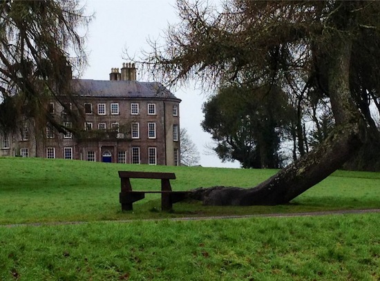 Doneraile Park, County Cork