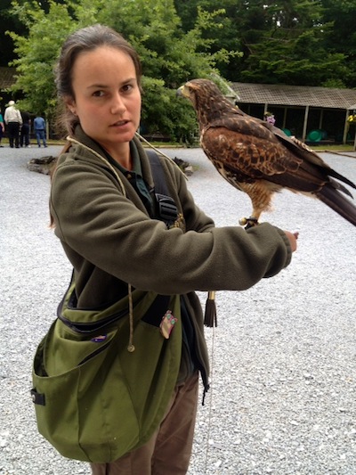 Inca with handler Anya at the Irish School of Falconry, Ashford Castle