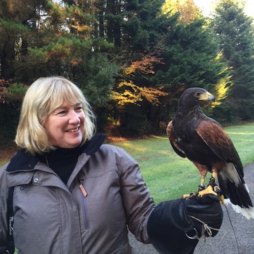 Susan Byron on a Hawk Walk at Ashford Castle