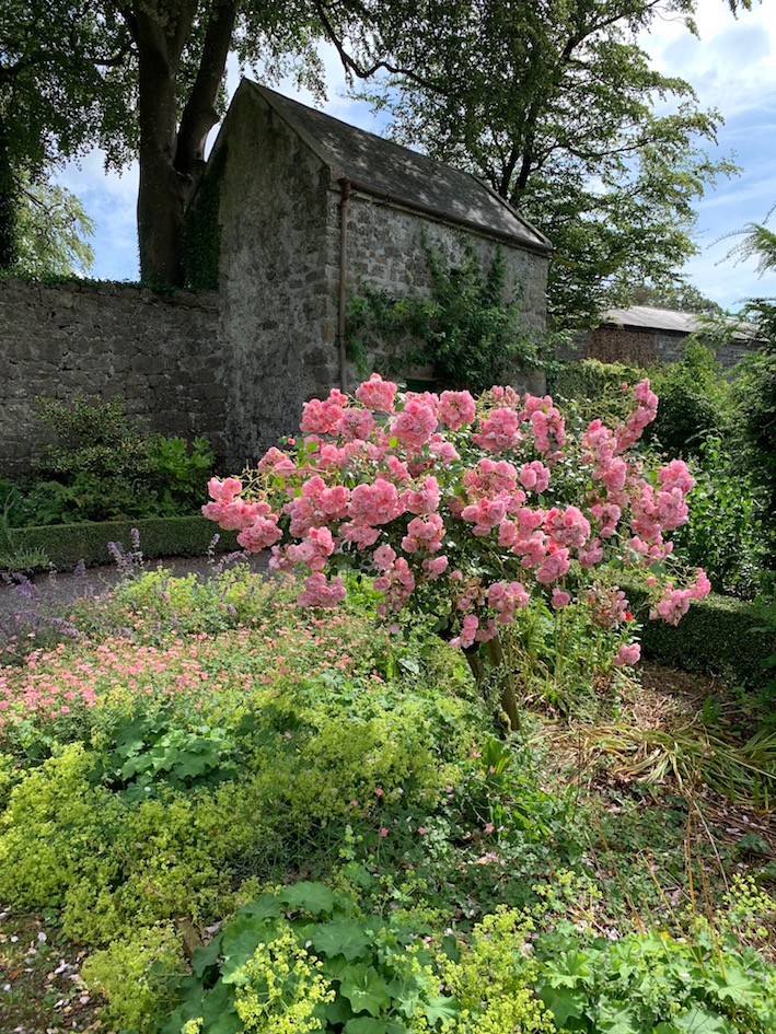 The Dovecote at Woodville Walled Garden