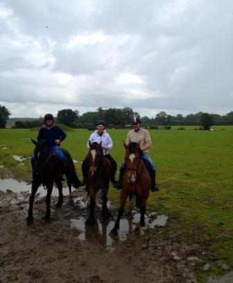 Birr Equestrian Centre, County Offaly