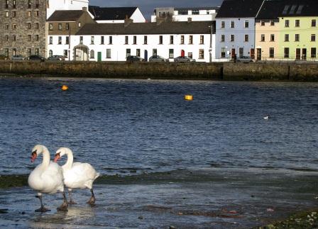 The Claddagh, Galway, Ireland