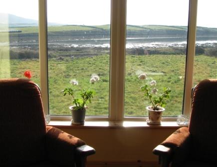 Geraniums on windowsills