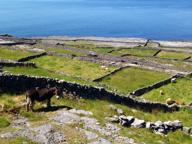 Inis Meain (the middle) of the Aran Islands, County Galway, Ireland