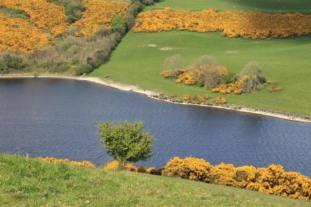 Lake Derrevaragh, County Westmeath